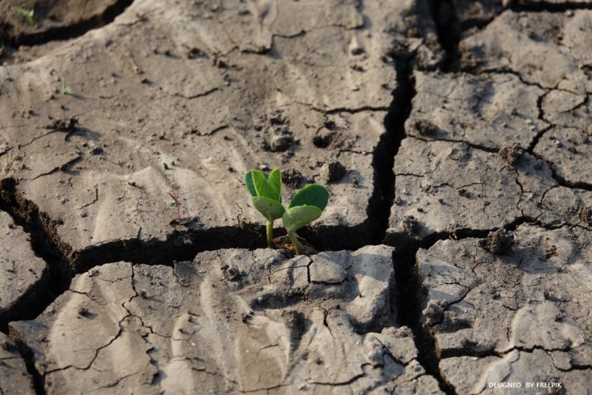Climate Action